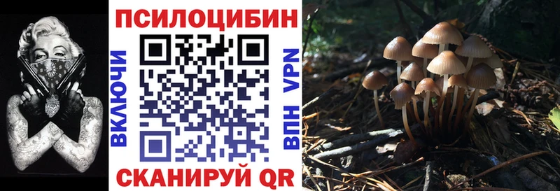 Псилоцибиновые грибы MAGIC MUSHROOMS Нюрба